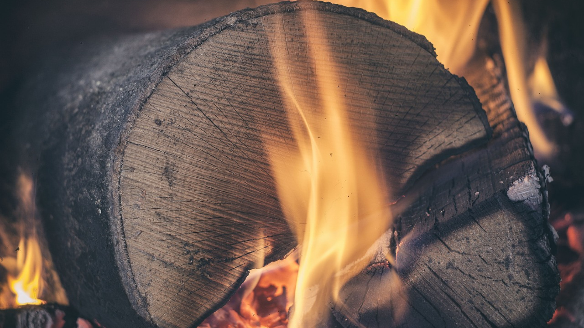 Les bûches de bois compressées, une alternative plus économique pour se  chauffer ? - NeozOne