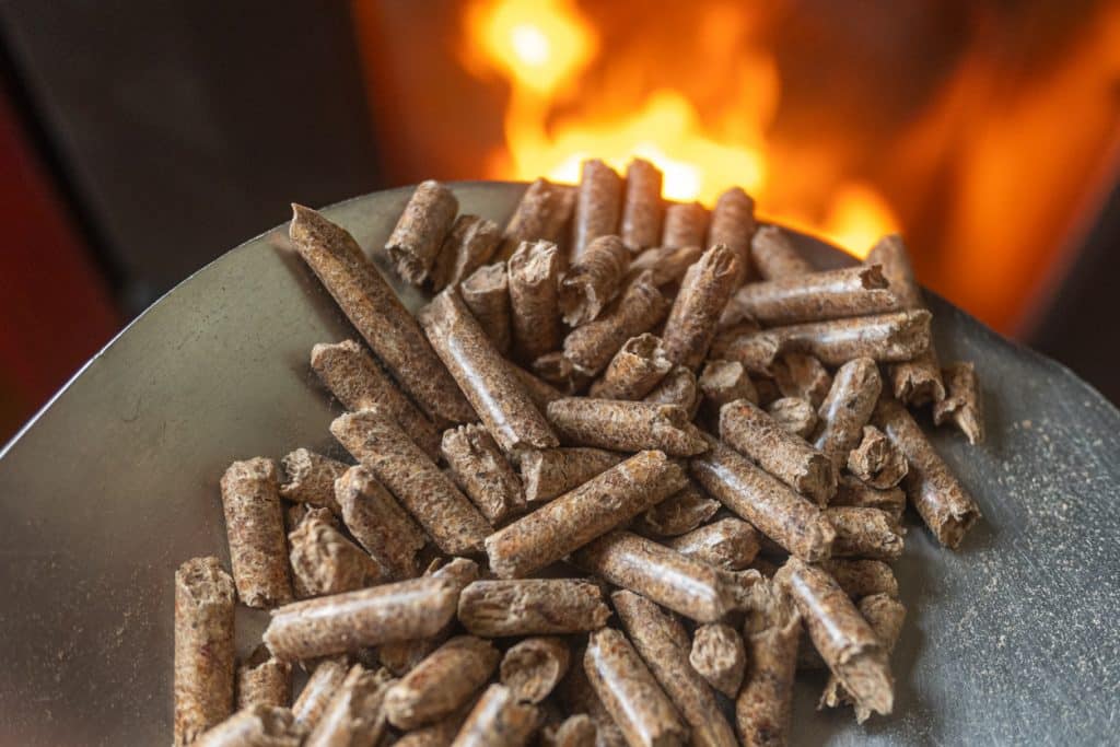 Granulés de bois : l'atout économique et écologique pour les entreprises
