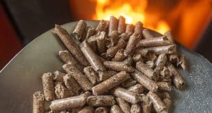 Granulés de bois : l'atout économique et écologique pour les entreprises