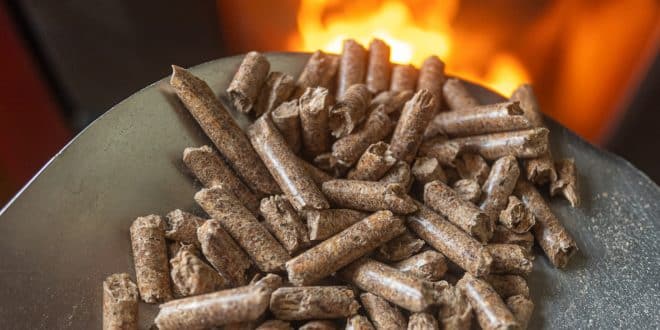 Granulés de bois : l'atout économique et écologique pour les entreprises