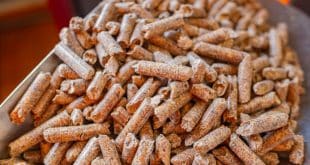 Pellets de bois : ce qu'il faut savoir avant de commander en ligne