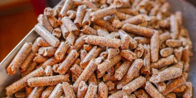 Pellets de bois : ce qu'il faut savoir avant de commander en ligne